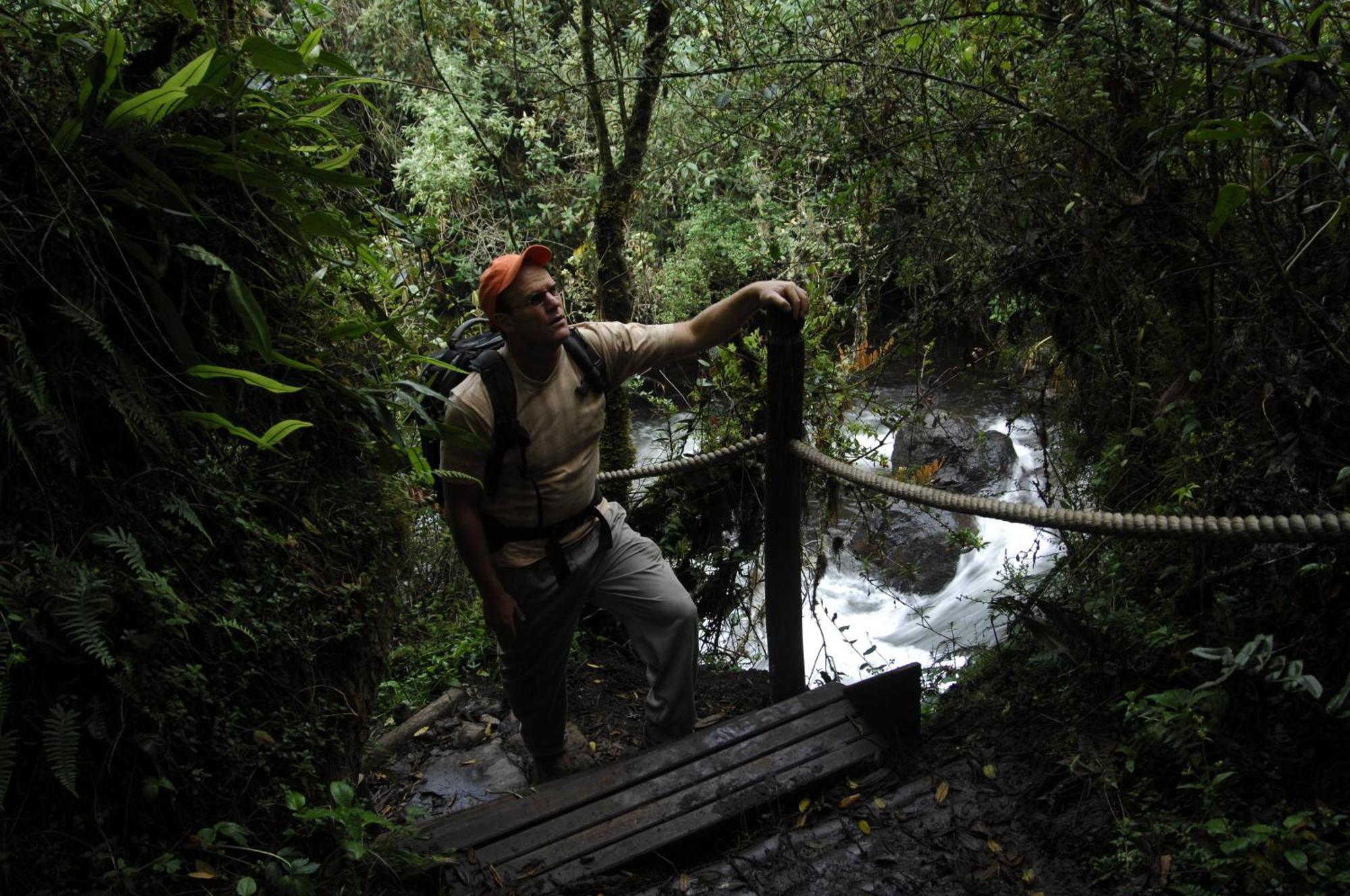 Termas De Papallacta Exterior photo A bridge in the rainforest